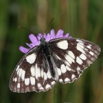 Ośrodek Terapii Uzależnień Opinie